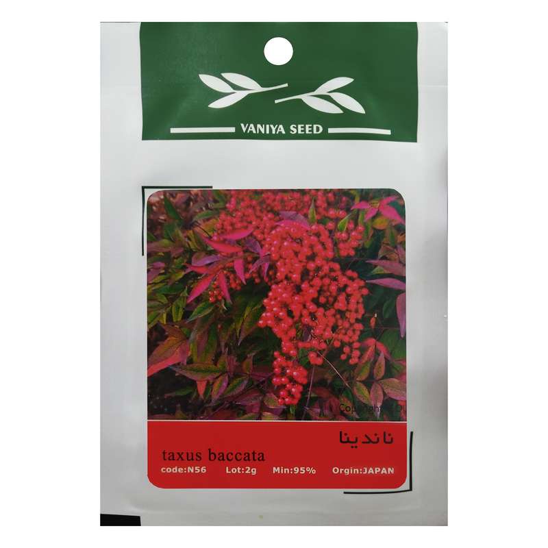 بذر بنسای ناندینا وانیا سید مدل N56