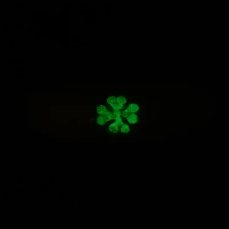 انگشتر مدل شبدر شب تاب PRH_1006