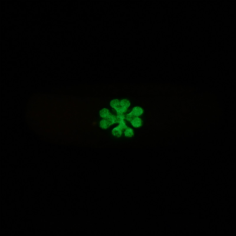 انگشتر مدل شبدر شب تاب PRH_1006