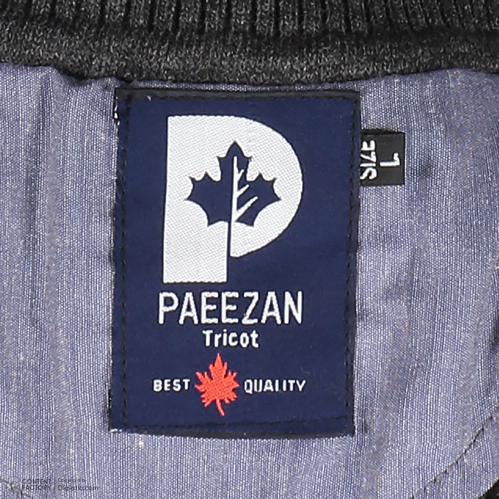 پلیور یقه اسکی مردانه تریکو پاییزان مدل PE800 - - 26