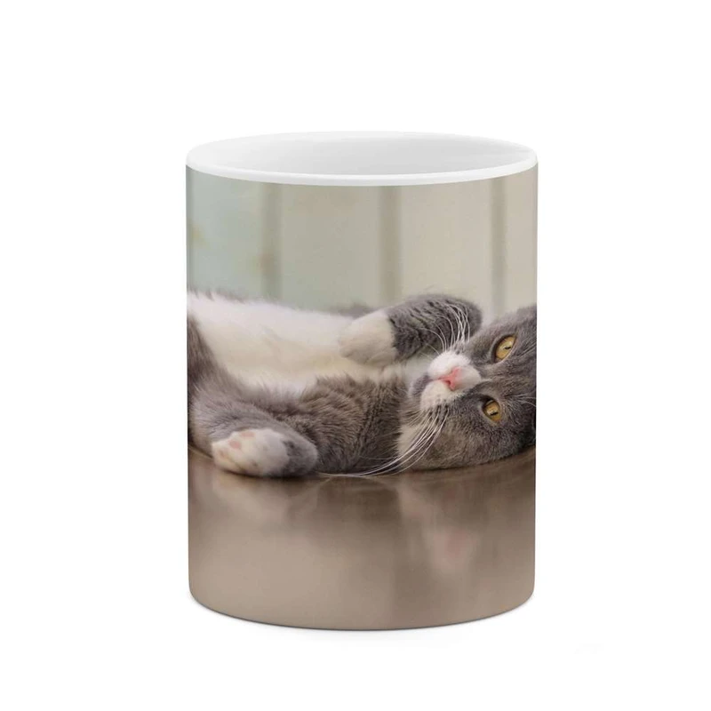 ماگ کاکتی مدل گربه کد mgh16473