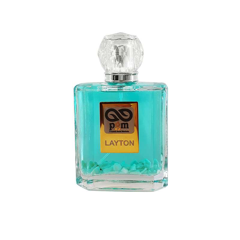 ادو پرفیوم مردانه پی جی ام مدل LITON  حجم 100 میلی لیتر
