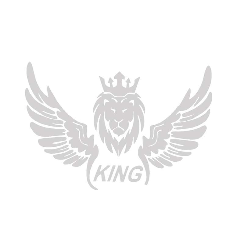 برچسب بدنه خودرو مدل شیر کینگ 