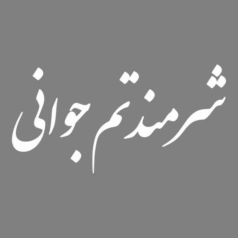 برچسب بدنه خودرو طرح شرمندتم جوانی کد MT-W453