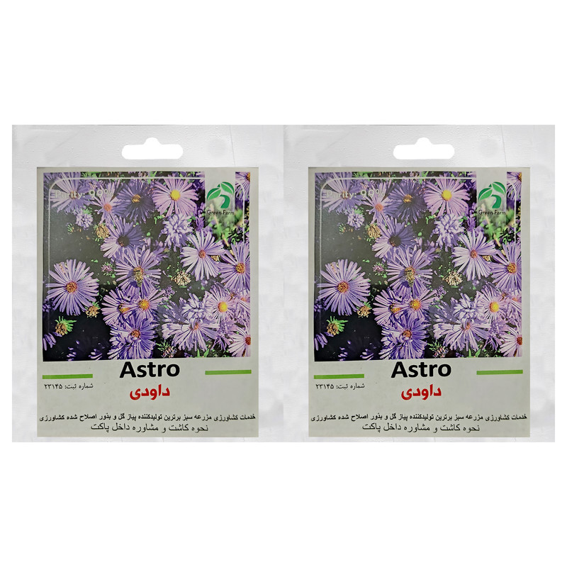بذر گل داوودی گرین فارم کد GR-DA بسته 2 عددی