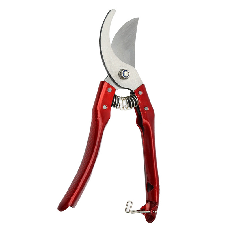 قیچی باغبانی اس کی مدل P-168