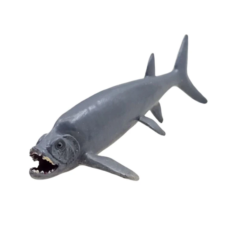 فیگور ناب سل مدل زیفاکتینوس کد XIPHACTINUS NAAB033 ارتفاع 2 سانتی متر