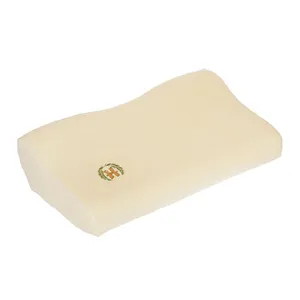 Hooshmand Butterfly Pillow