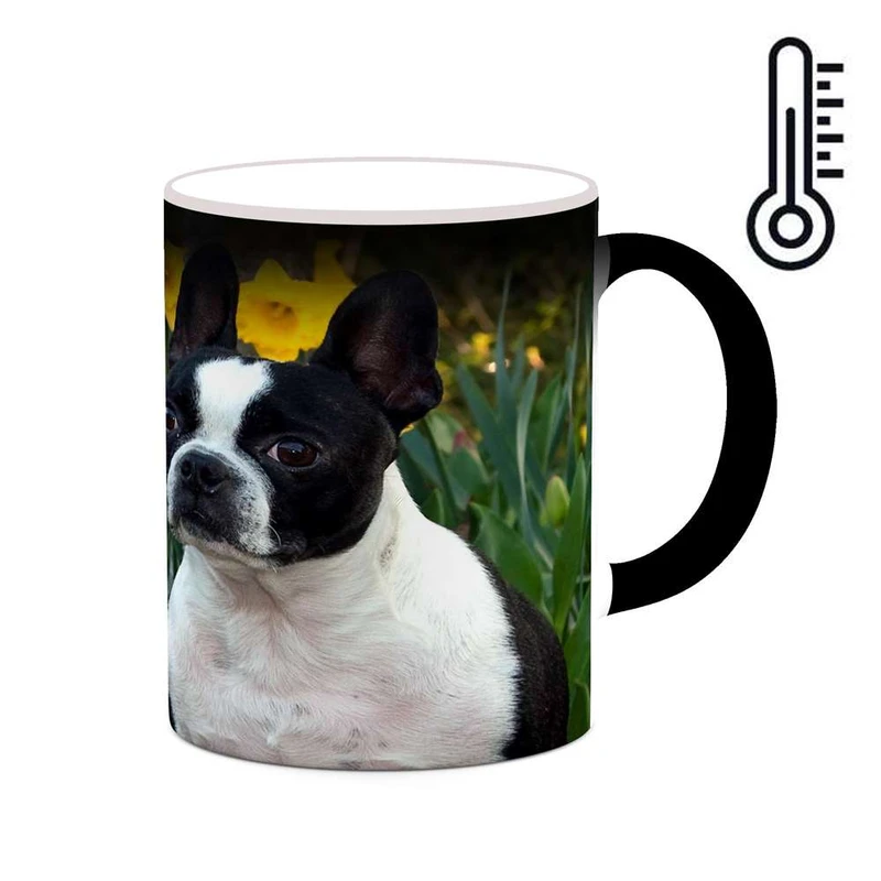 ماگ حرارتی کاکتی مدل سگ کد mgh19242