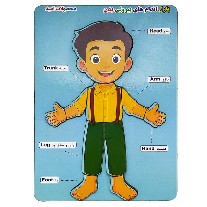 پازل آموزشی محصولات امید مدل بدن انسان