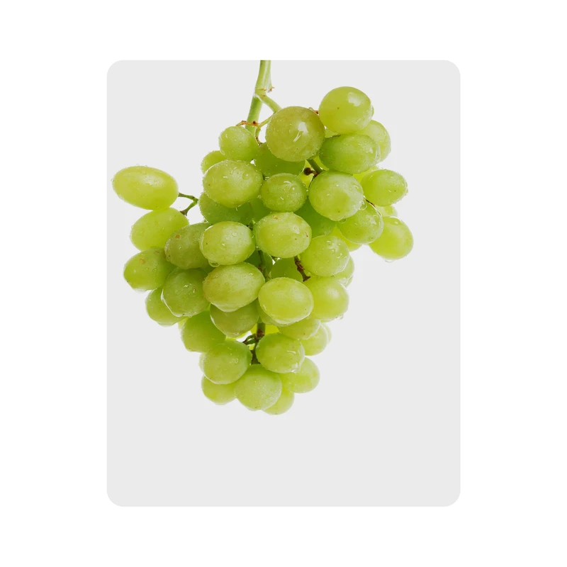 ماوس پد اطلس آبی طرح میوه انگور مدل T6987