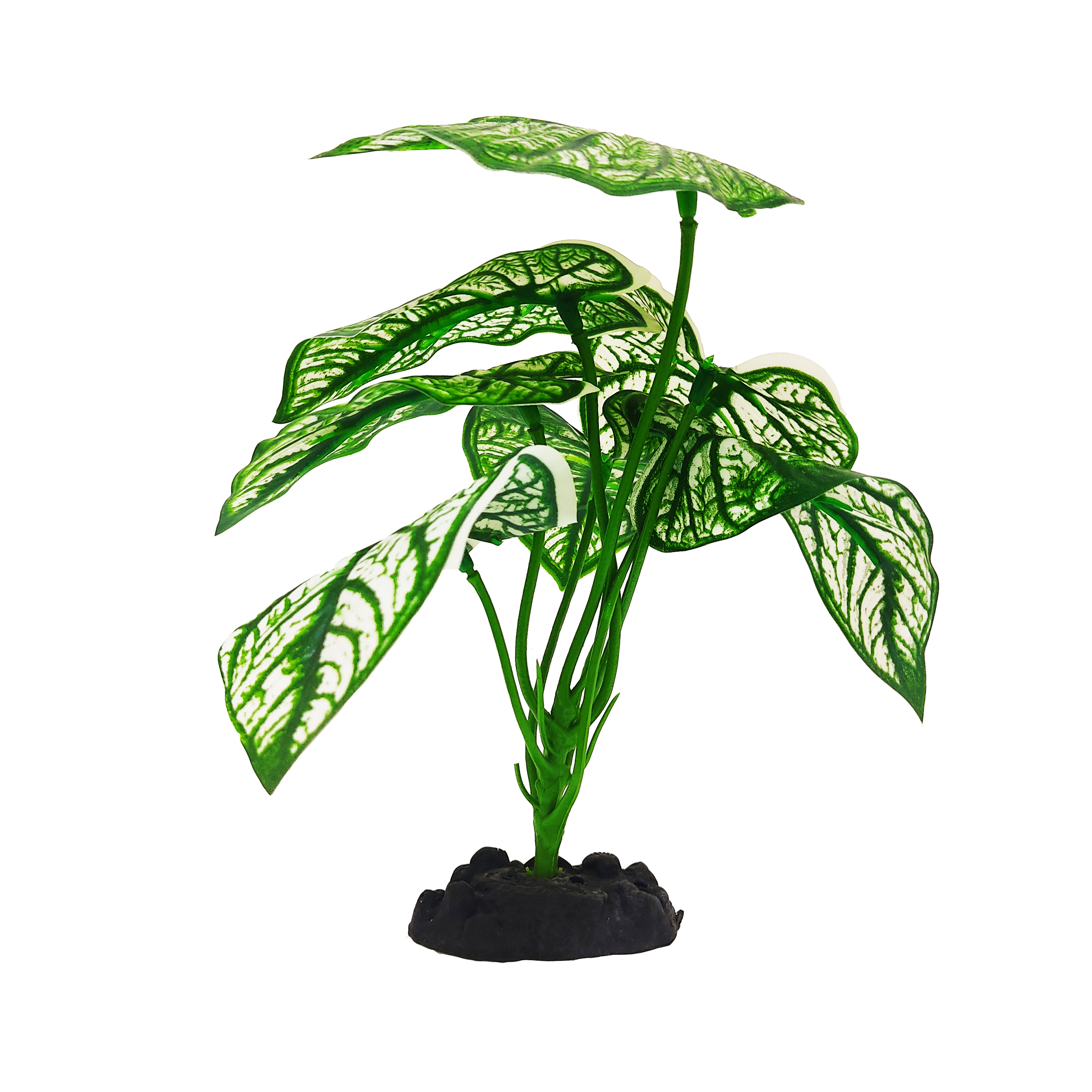 گیاه تزیینی آکواریوم کد H02