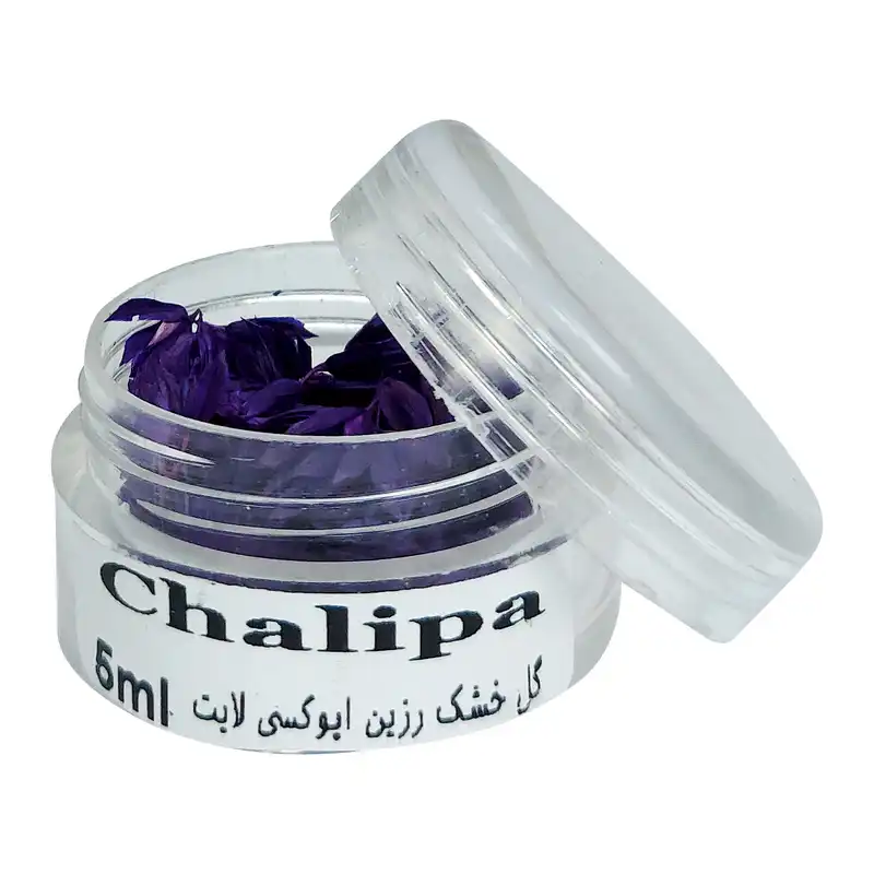 گل خشک لایت چلیپا مدل رزین اپوکسی وزن 5 گرم