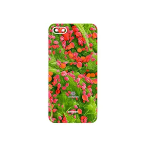 MAHOOT Atom Universe 3 Cover Sticker for Xiaomi Redmi 6A