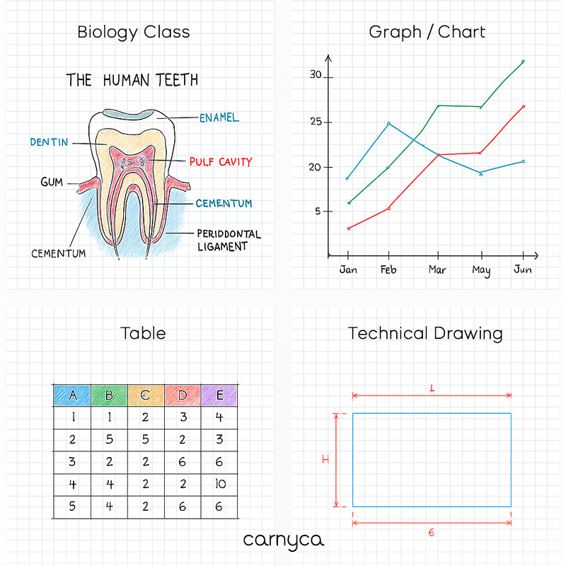 كاغذ شطرنجي A4 کارنیکا طرح graph بسته 50 عددي