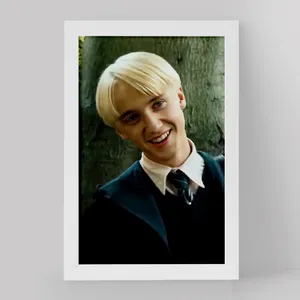 تابلو خندالو مدل دراکو مالفوی هری پاتر Harry Potter کد 19361