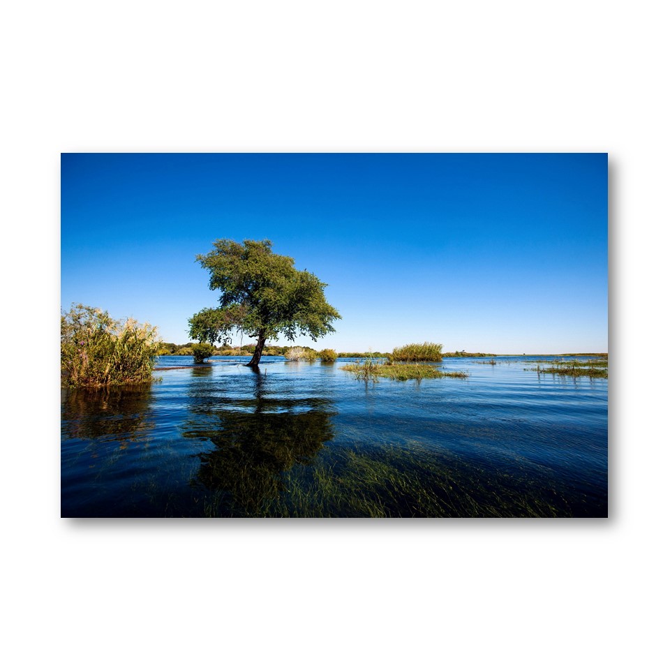 تابلو شاسی مدل دریاچه و درخت