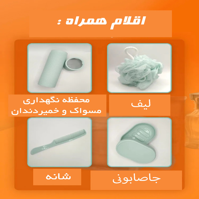 کیف لوازم شخصی زنانه مدل Paris ضد آب مجموعه 5 عددی