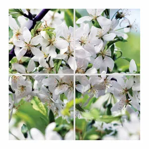 تایل سقفی آسمان مجازی مدل SK-431 سایز 60x60 سانتیمتر مجموعه 4 عددی