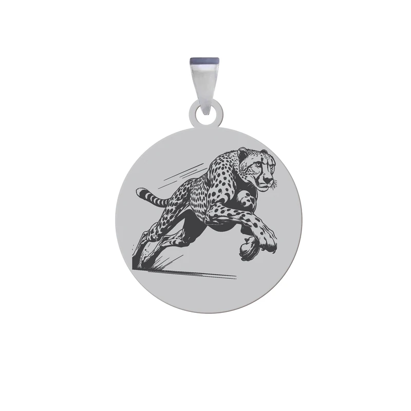 آویز گردنبند زنانه و مردانه هایکا مدل یوزپلنگ کد am.jh 282