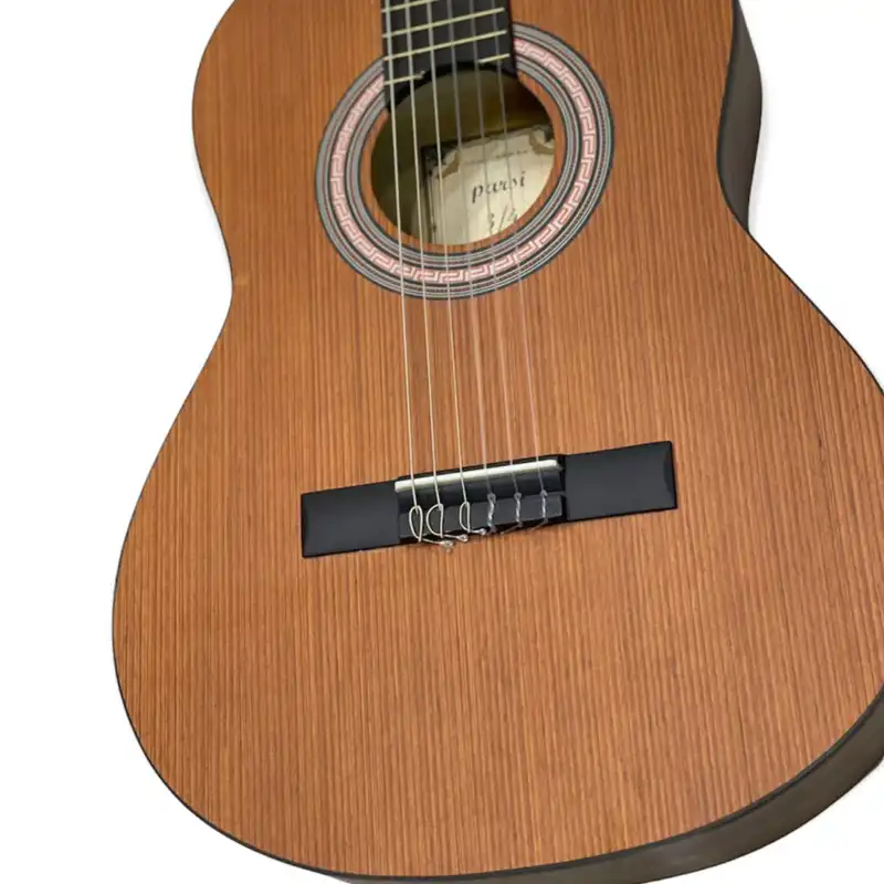 گیتار کلاسیک پارسی مدل M3 سفارشی 3.4