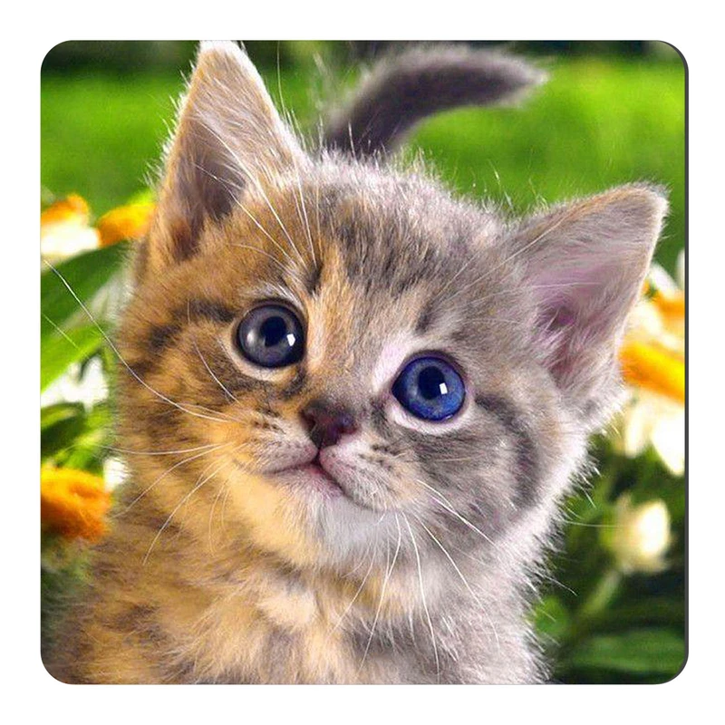 مگنت طرح بچه گربه کد NIM2551 