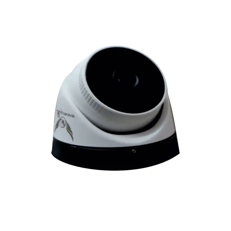 دوربین مداربسته آنالوگ رایمون مدل 900M2053