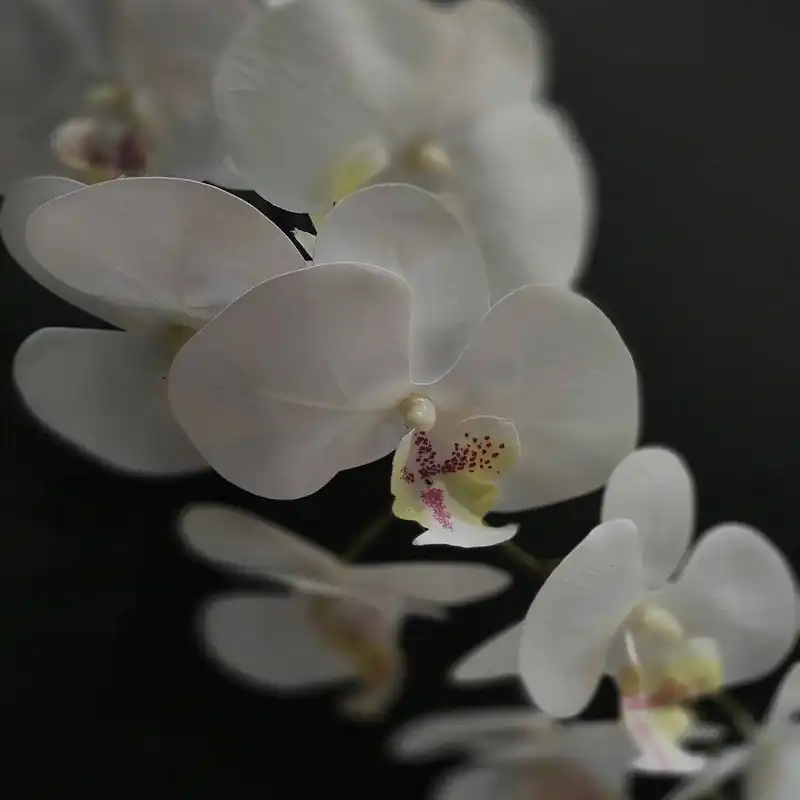 گل مصنوعی طرح شاخه ارکیده مدل تاچ کد PAL-9GOL