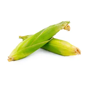 بلال مکزیکی- 1 کیلوگرم