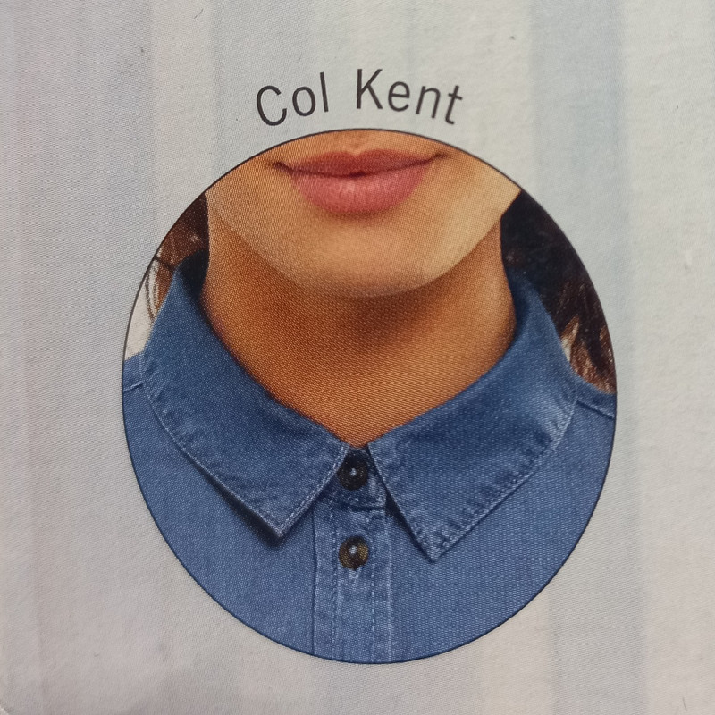 شومیز آستین بلند زنانه اسمارا مدل جین کد 13165124