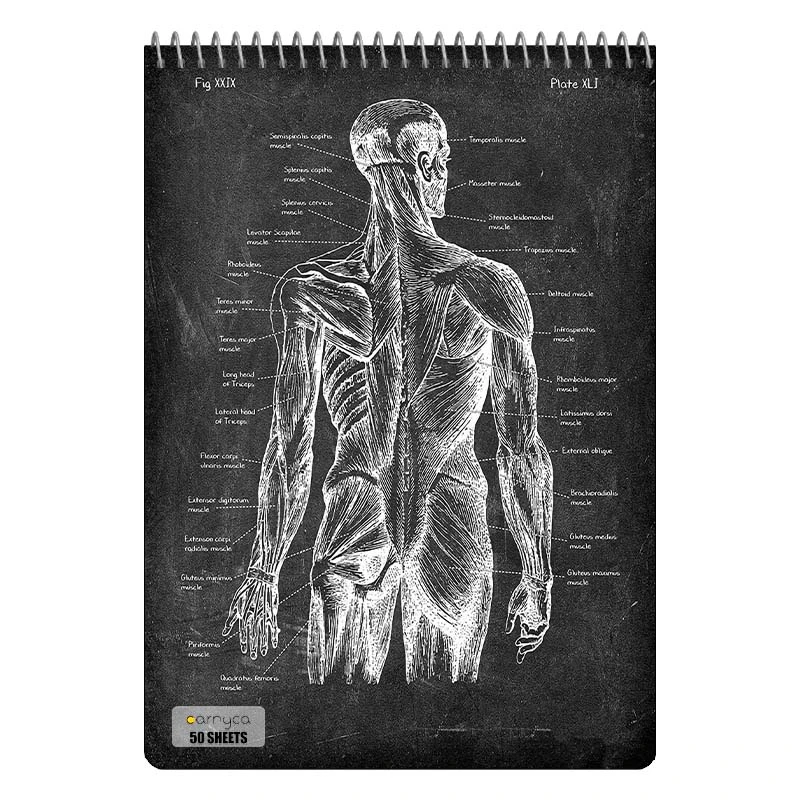 دفتر نقاشی 50 برگ سیمی کارنیکا طرح روزنامه وینتج آناتومی بدن Vintage Newspaper Anatomy کد 10222