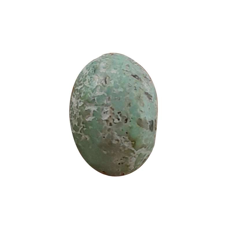 سنگ فیروزه مدل نیشابور کد NG2255