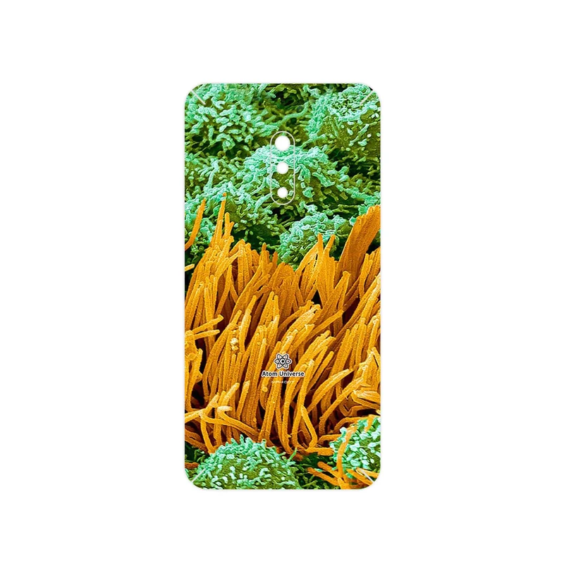 برچسب پوششی ماهوت مدل Atom Universe 6 مناسب برای گوشی موبایل اپو Realme X