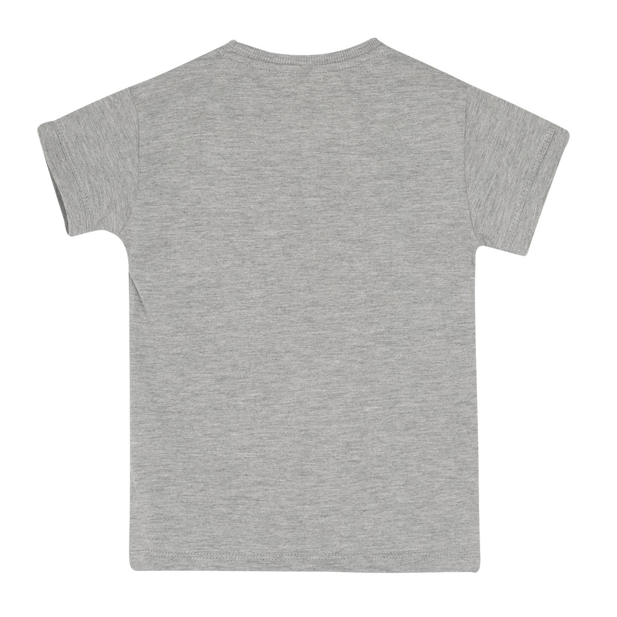 تی شرت پسرانه گارودی مدل ملانژ -  - 3