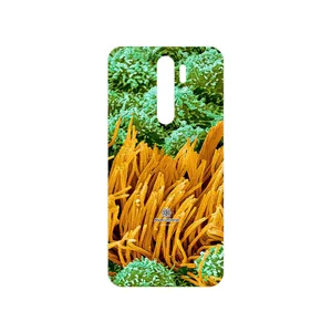 MAHOOT Atom Universe 6 Cover Sticker for Xiaomi Redmi Note 8 Pro