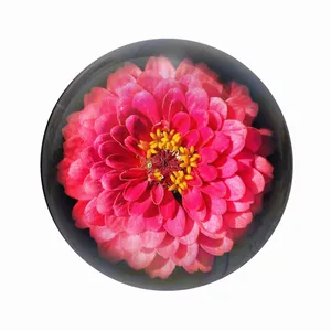 مگنت عرش طرح گل کد Asm3786