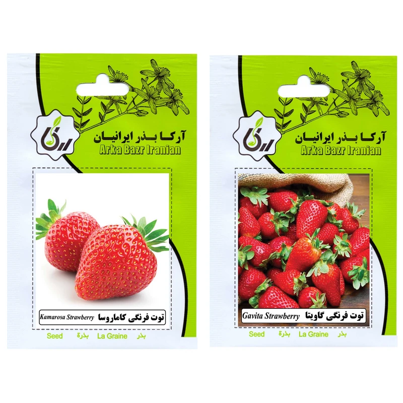 بذر میوه توت فرنگی کاماروسا و توت فرنگی گاویتا آرکا بذر ایرانیان کد ARK-A-ARK-02 وزن 20 گرم مجموعه 2 عددی 