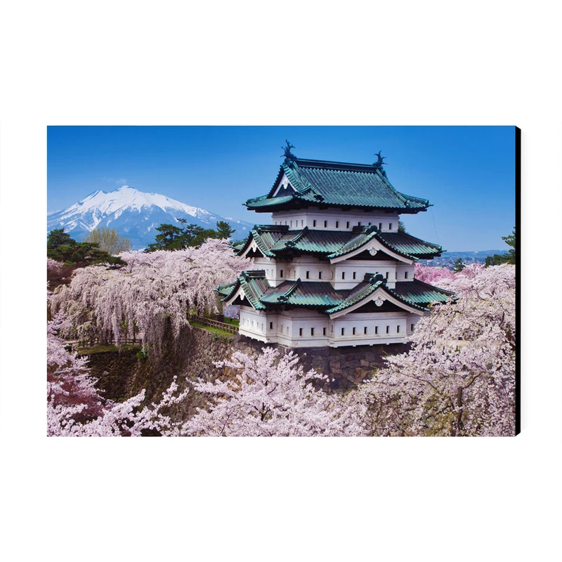 تابلو شاسی عرش طرح گردشگری ژاپن مدل جشنواره شکوفه‌های گیلاس پارک هیروساکی کد As6150