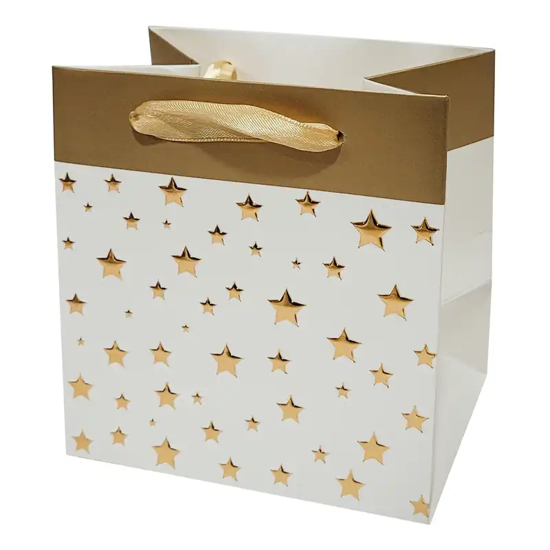 پاکت هدیه مدل ستاره طلا کوب کد 653 بسته 2 عددی