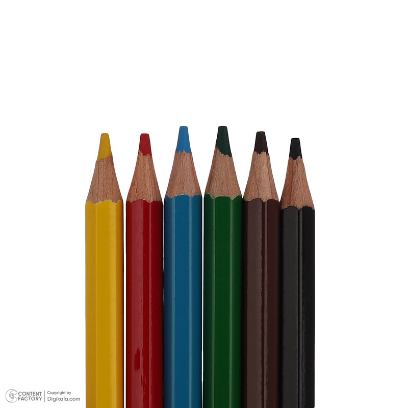 کارگاه کلاژ پنتر-یونیسف مدل قورباغه