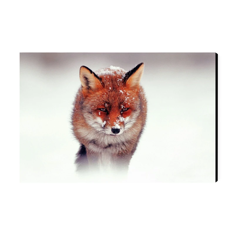 تابلو شاسی عرش مدل فانتزی روباه کد As3066