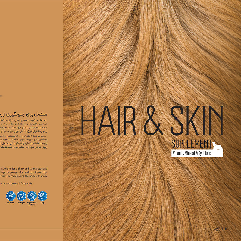 پودر مکمل سگ بایو پت مدل پوست و مو وزن 400 گرم