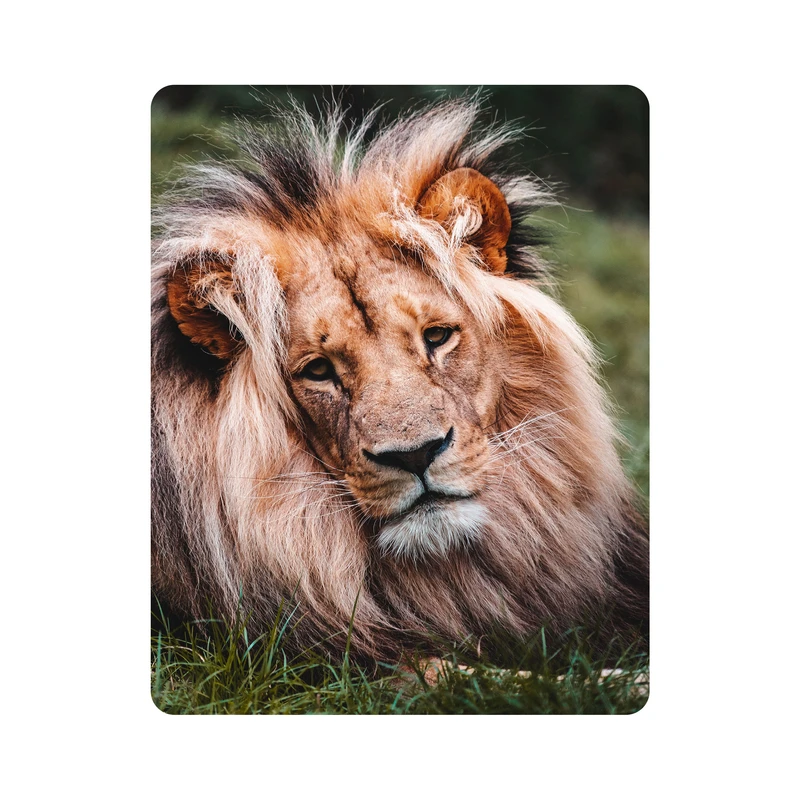 ماوس پد اطلس آبی طرح حیوان شیر نر مدل T1850