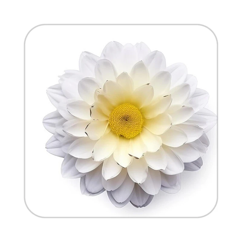 زیر لیوانی کاکتی طرح گل مدل mp17550