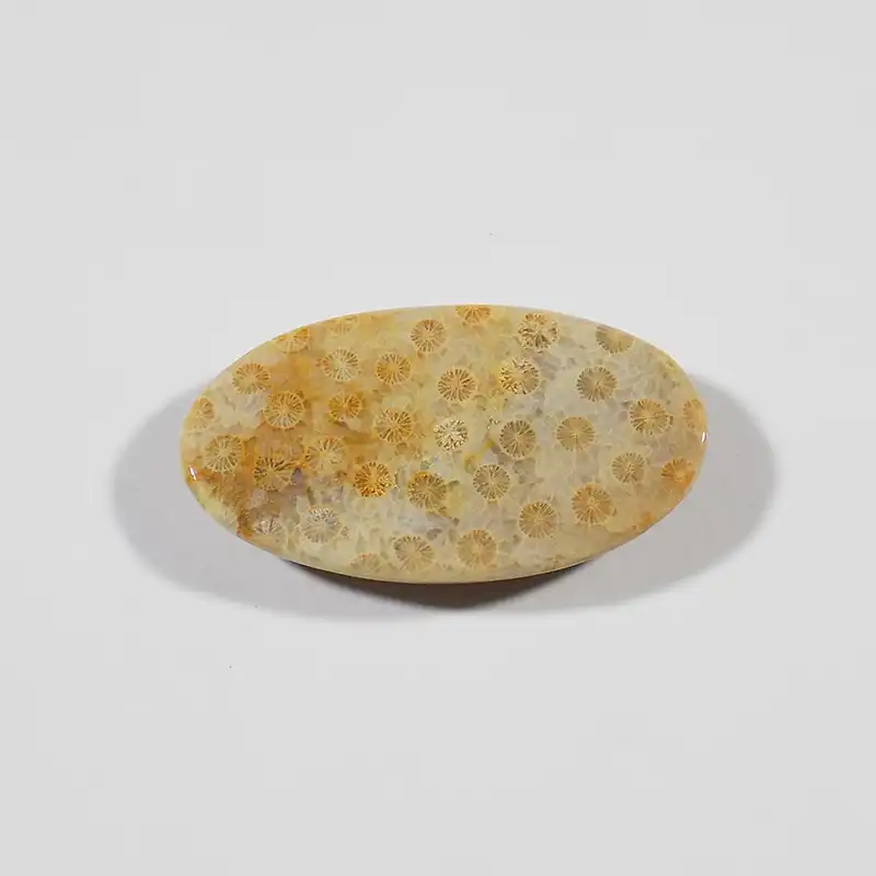 سنگ فسیل مرجان کد TG6525