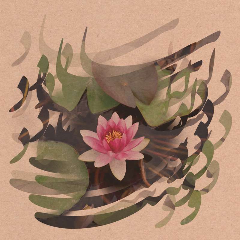 کاغذ کادو کد 164 بسته 5 عددی