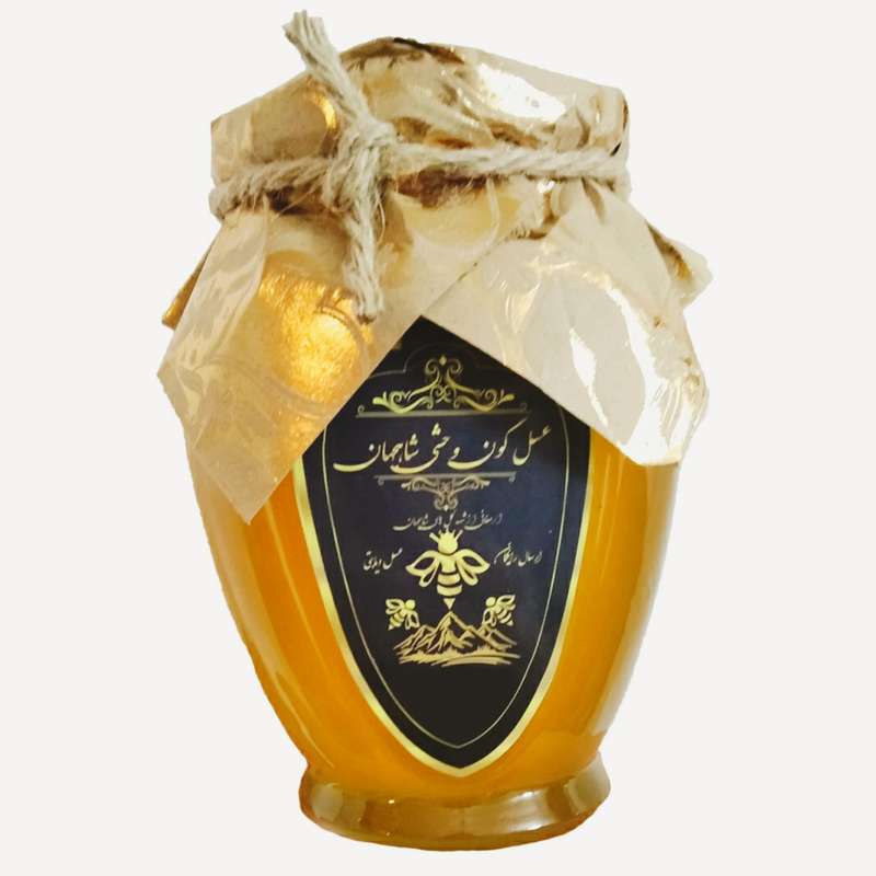 عسل گون وحشی شاهجهان - 500 گرم 