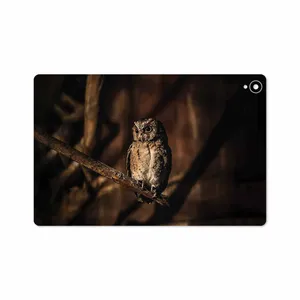 MAHOOT Owl Cover Sticker for Huawei Mediapad M6 10.8 2019