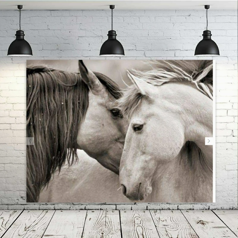 پوستر طرح اسب کد GR502