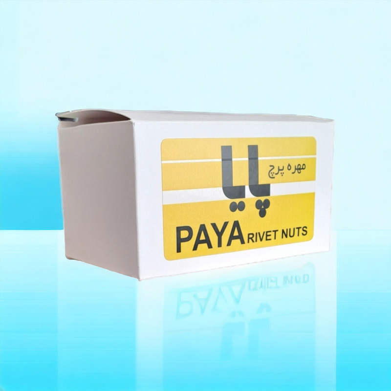 مهره پرچ پایا مدل لبه دار M6 کد PAYA69 مجموعه 20 عددی